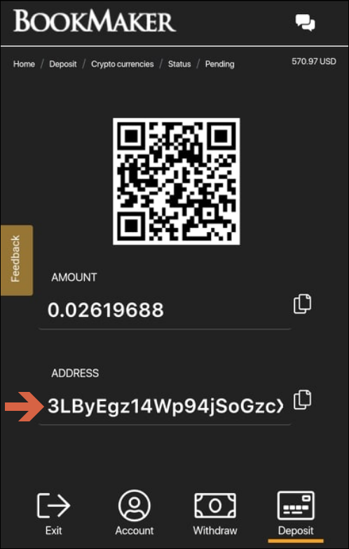 Cashier_Bitcoin_address_Mobile.png
