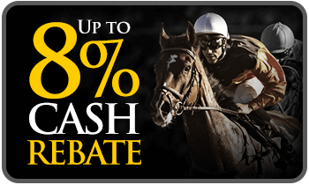 8% Rebate.png